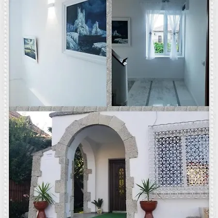 Vila Casa Din Vis 南埃福列